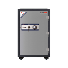 Goodwill GW-110CW Combination Safe
